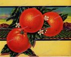 Ads Vintage Prints