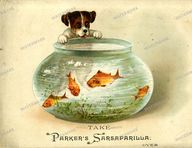 Advertisement Vintage Prints