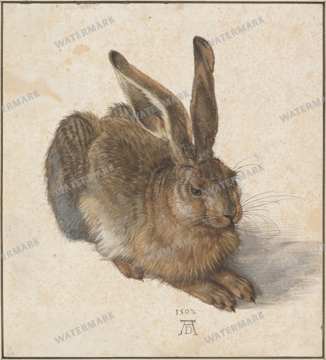 Albrecht Altdorfer Vintage Paintings
