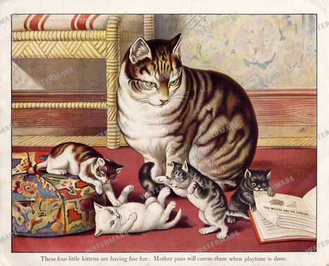 Animals Vintage Prints