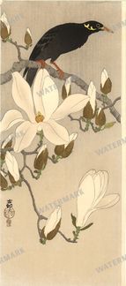 Botanical Vintage Prints