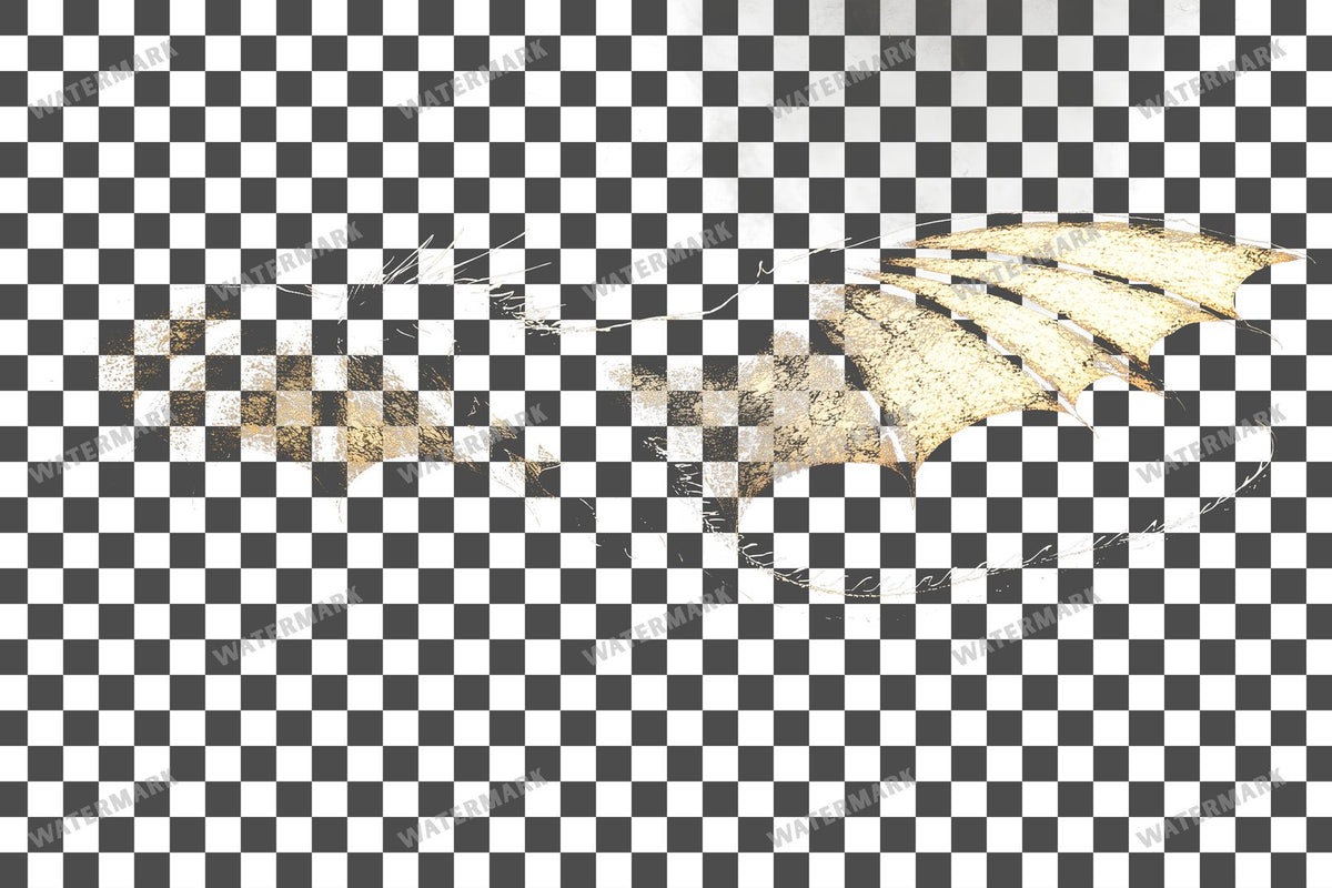 Dragon Silhouette Transparent Overlay Pngs