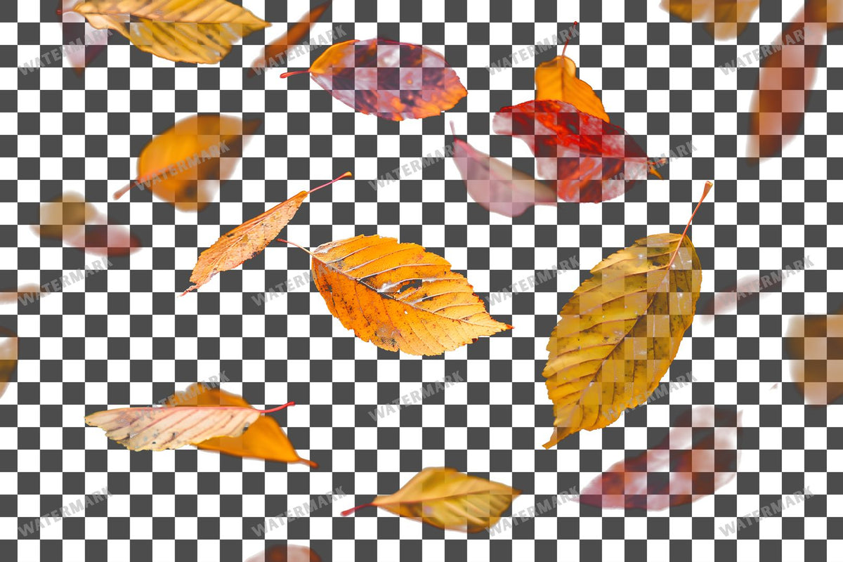 Golden Autumn Leaves Floating PNG overlay on a transparent checkered background, preview 8