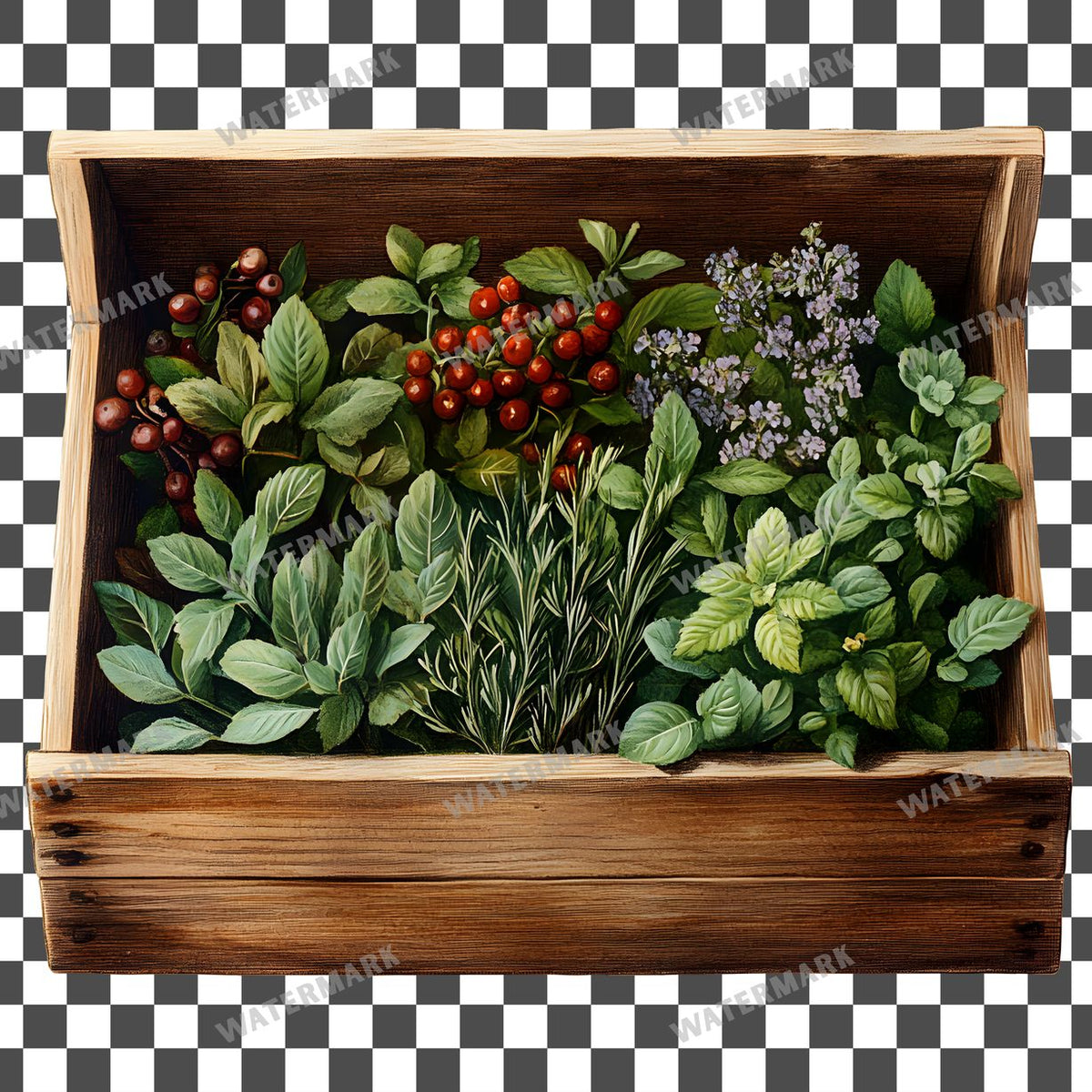 Herbs Vintage Style clipart PNG on a transparent background, design 8