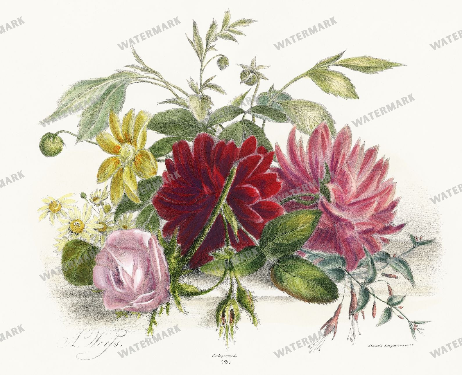 Lithographs Vintage Paintings