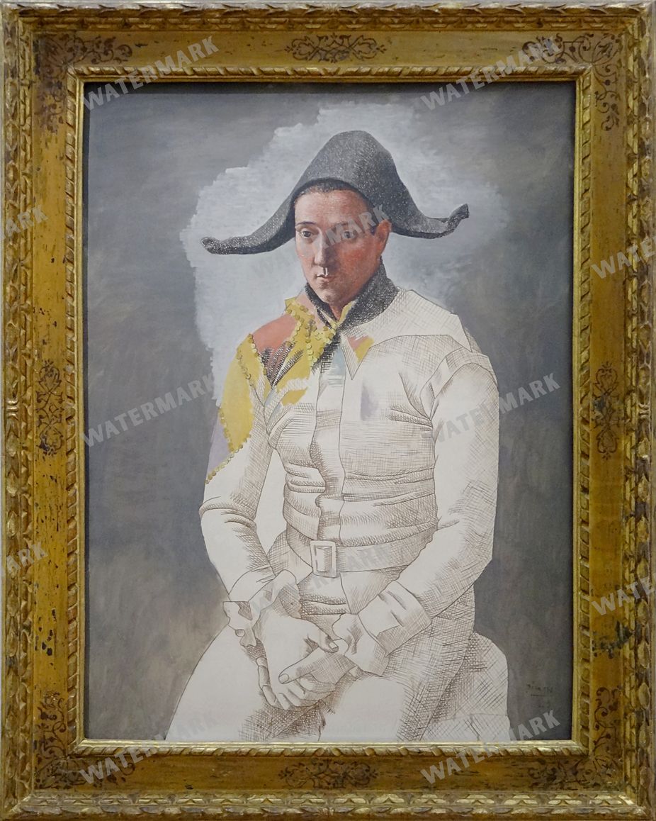Pablo Picasso Vintage Paintings