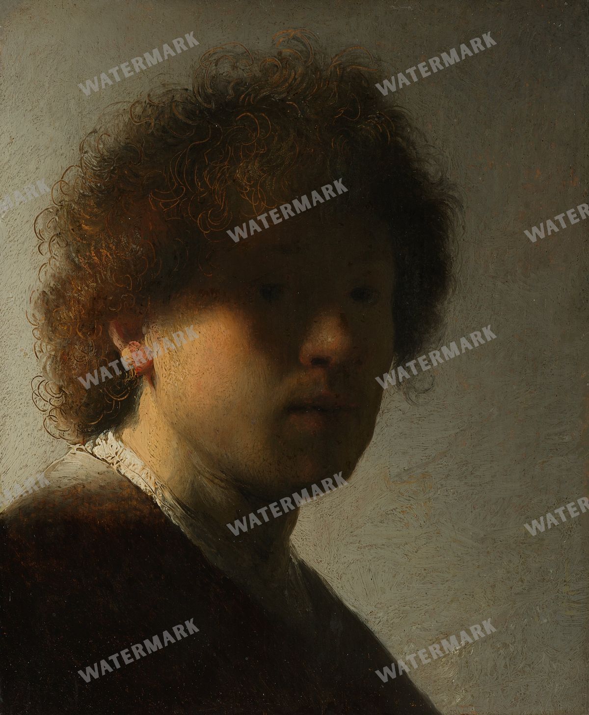 Rembrandt Van Rijn Vintage Paintings