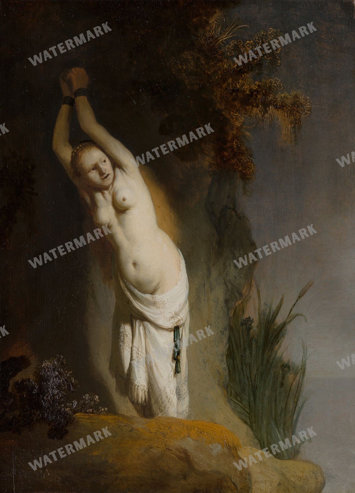 Rembrandt Van Rijn Vintage Paintings