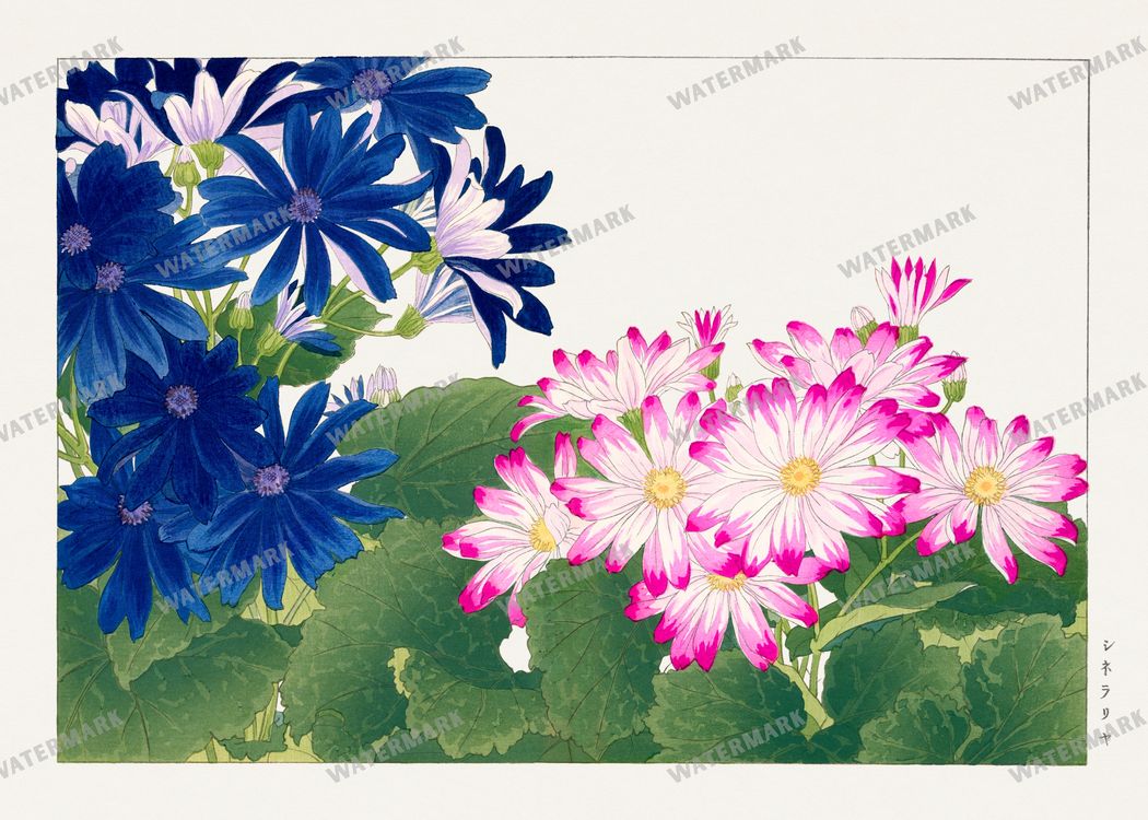 Seiyô Sôka Zufu Vintage Paintings
