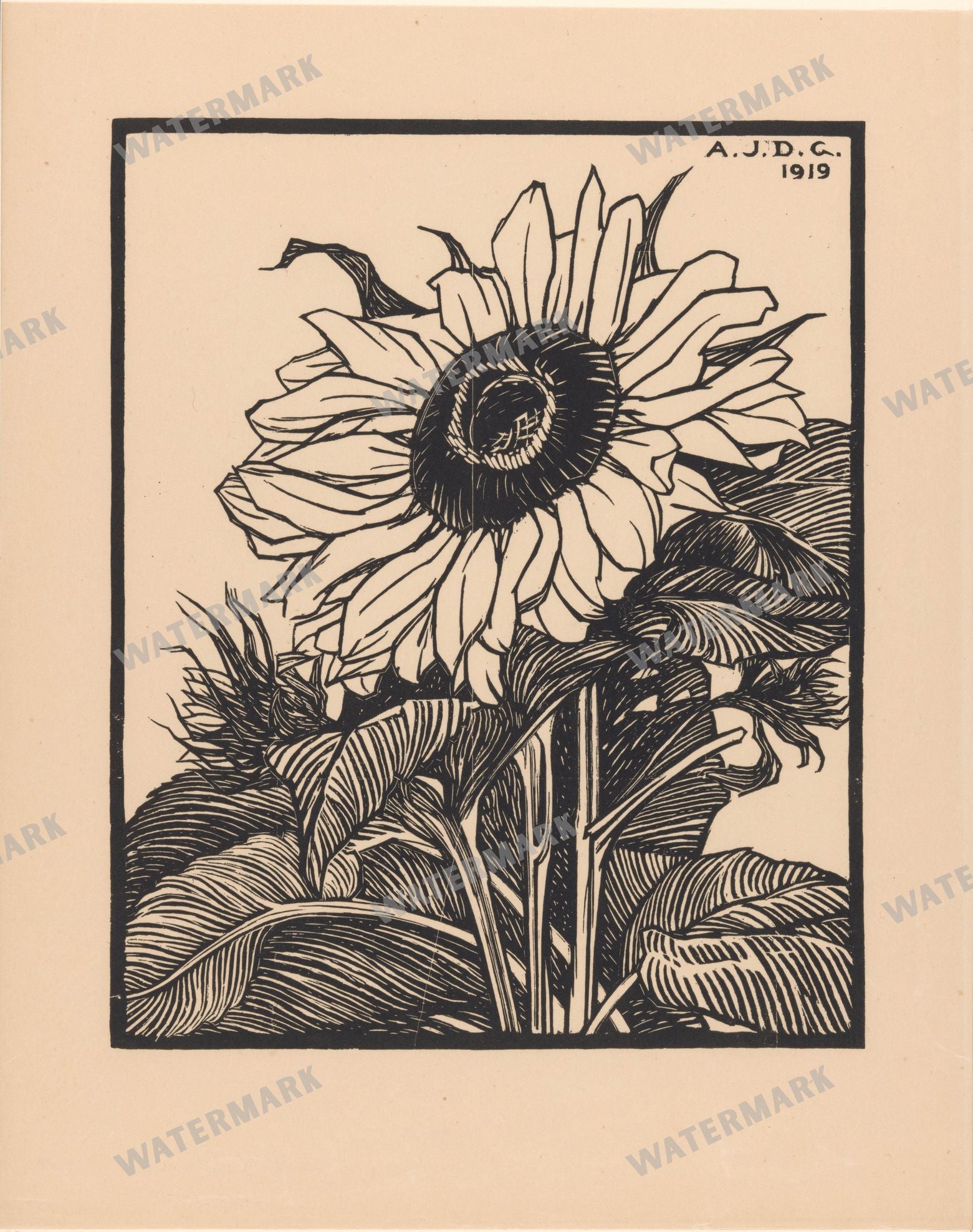 Sketches Vintage Sketches