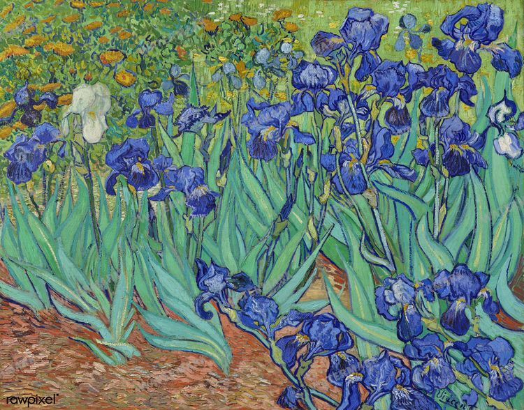 Vincent Willem Van Gogh Vintage Paintings