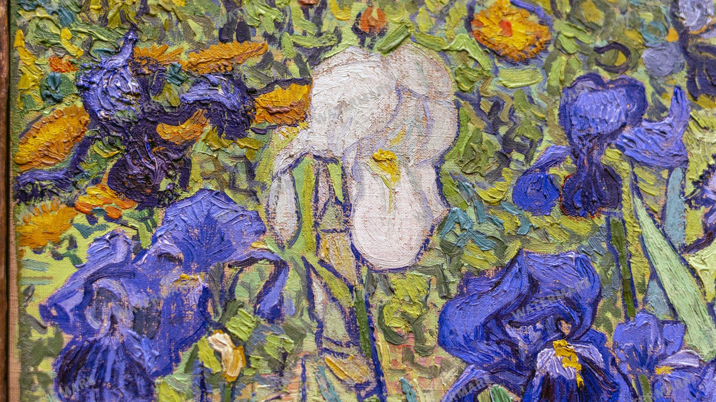 Vincent Willem Van Gogh Vintage Paintings