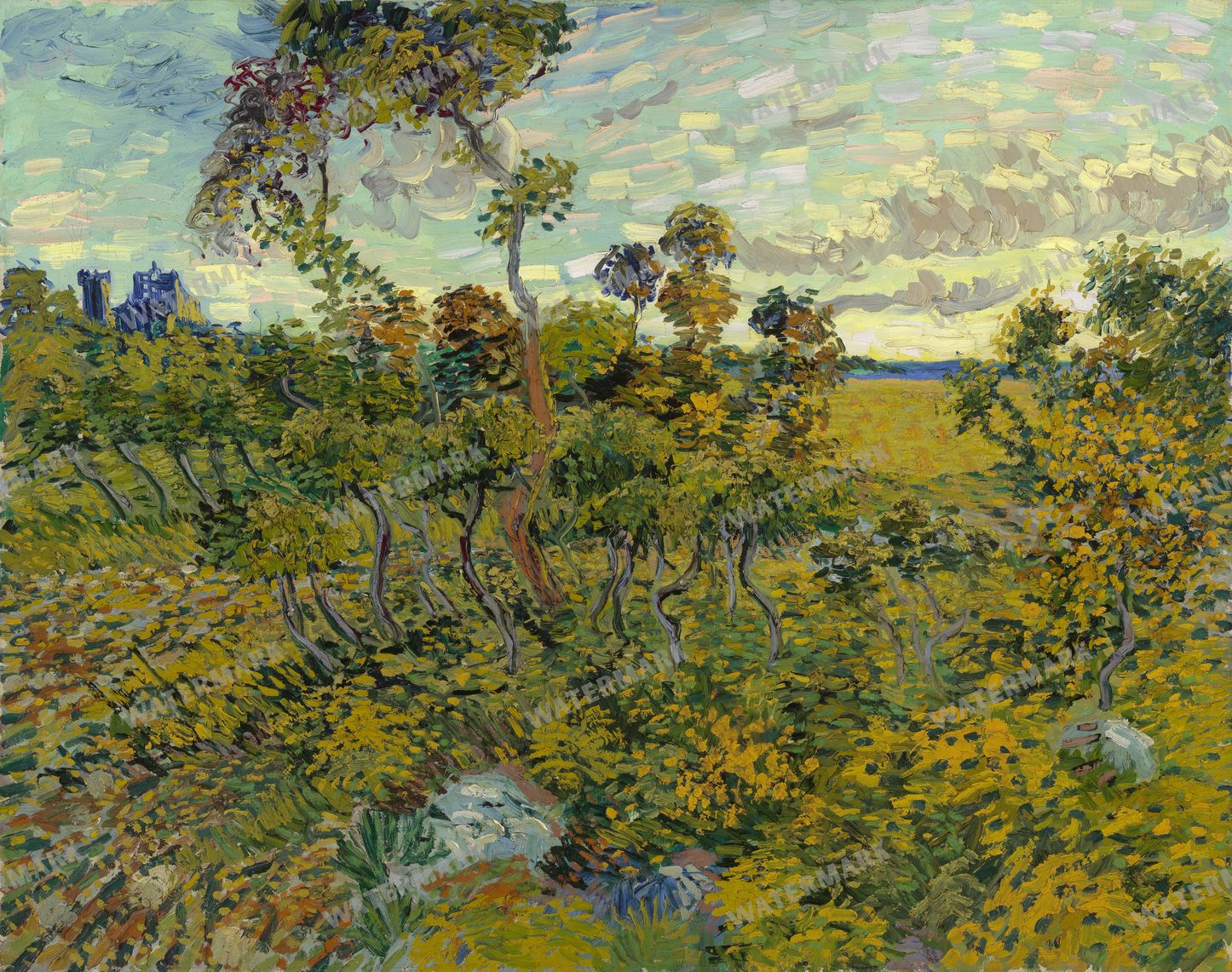 Vincent Willem Van Gogh Vintage Paintings