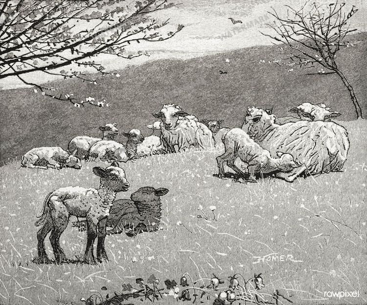 Winslow Homer Vintage Paintings
