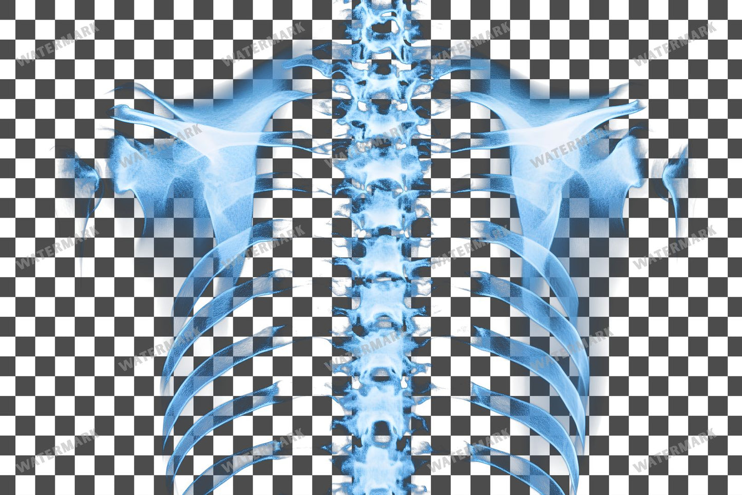 X-Ray Transparent Overlay Pngs