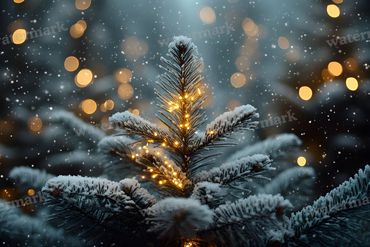 Snowy Forest Backdrop Images