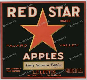 Ads Vintage Prints