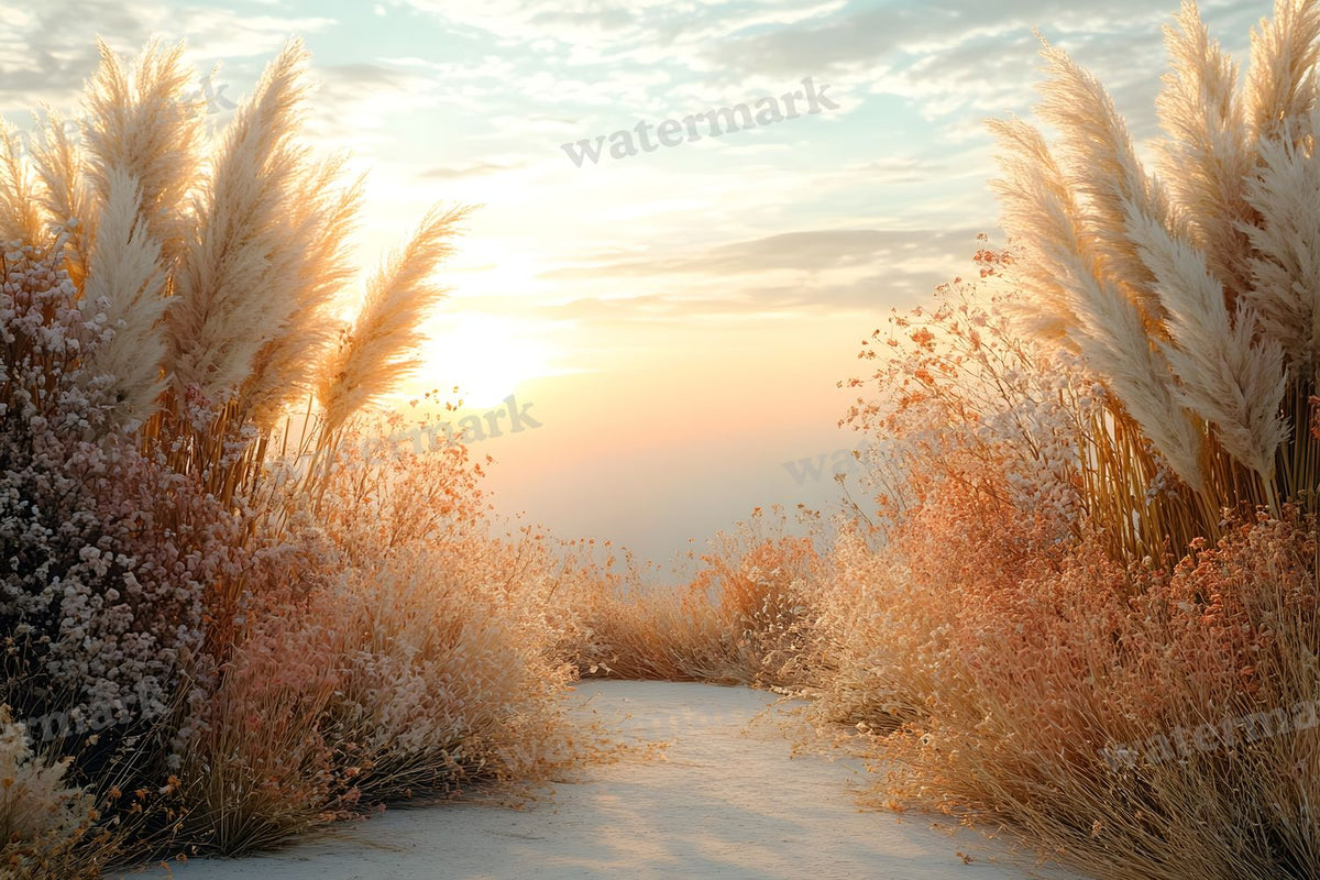 Boho Sunset Arch Backdrop Images