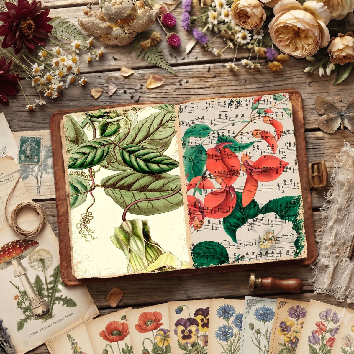 Botanical Illustrations Digital Papers