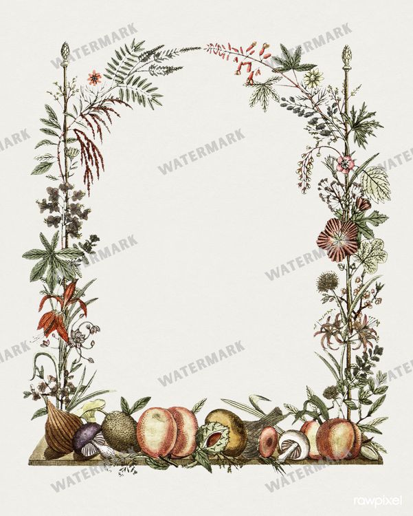 Botanical Vintage Prints