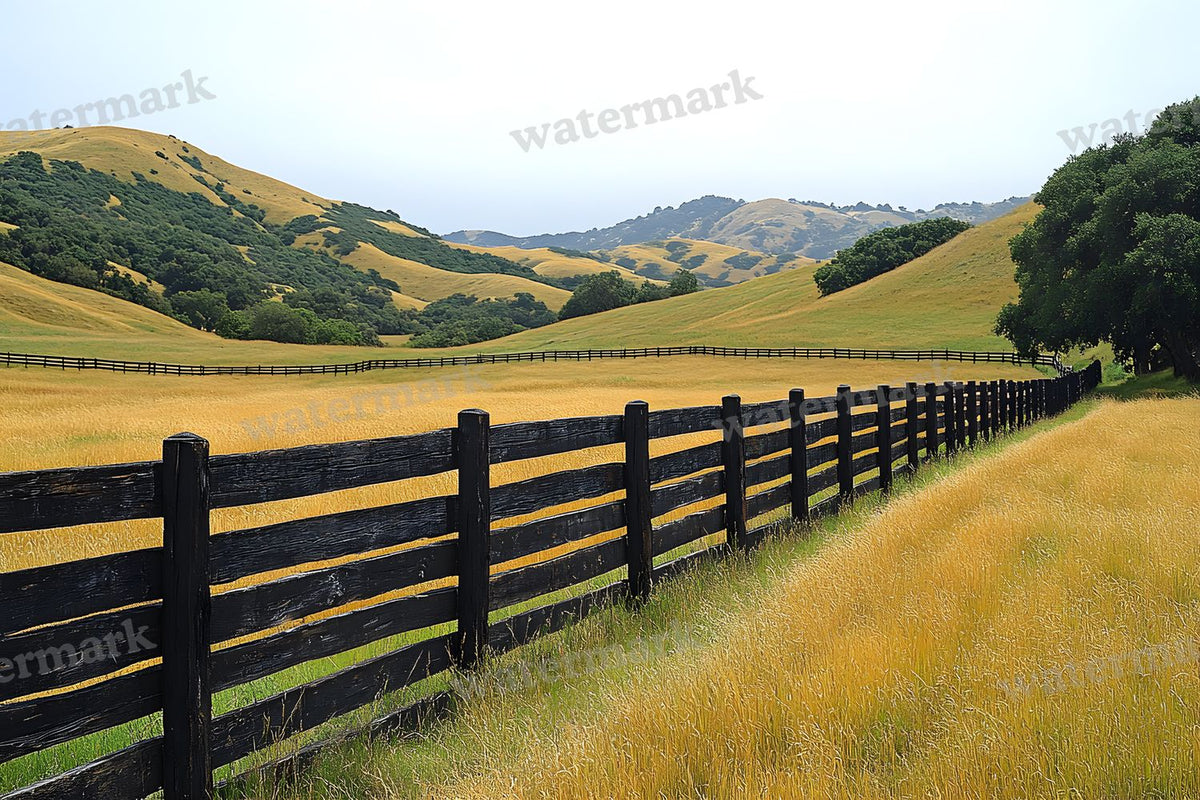 Countryside Fencing Backdrop Images