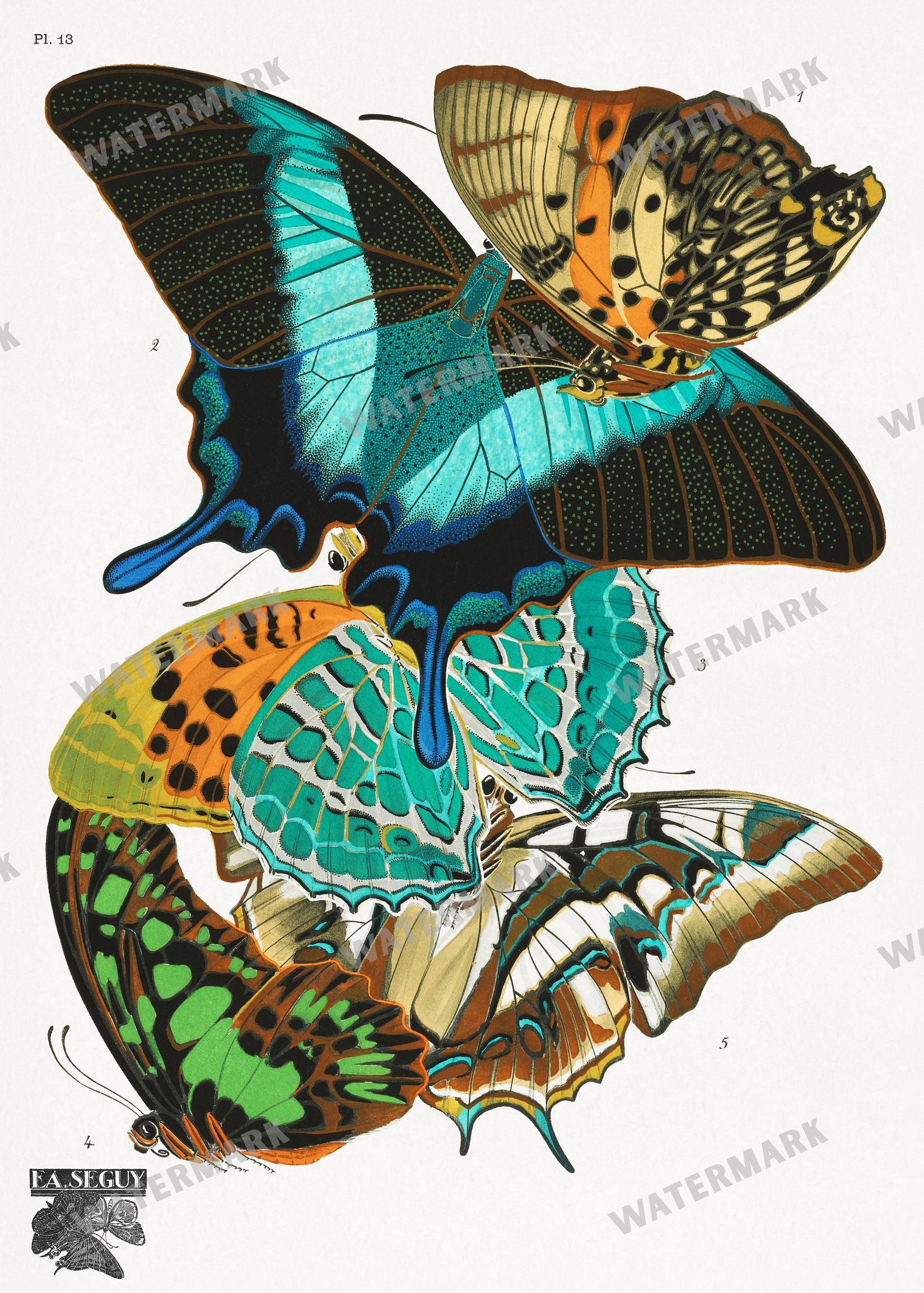 E A Seguy Vintage Prints