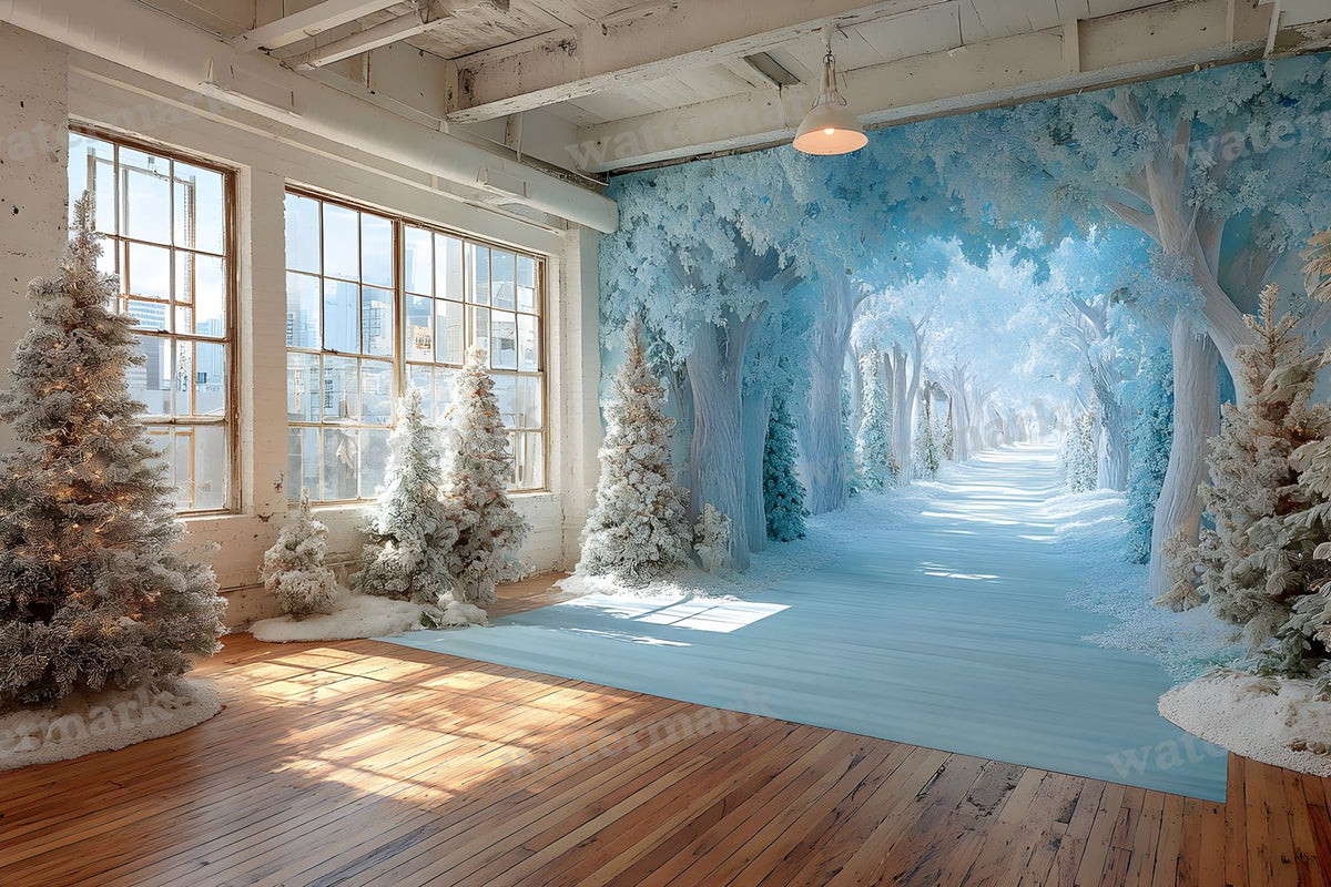 Indoor Winter Wonderland Backdrop Images