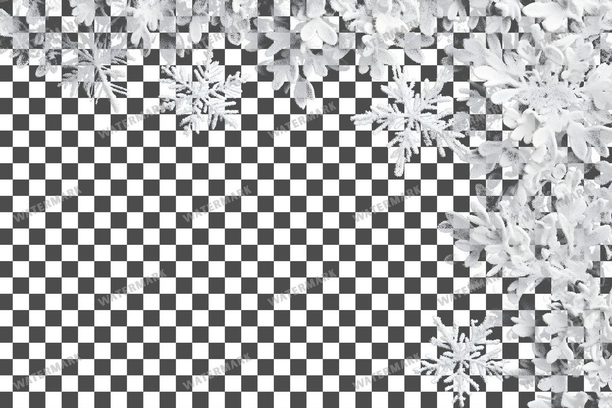 Snow Flake Overlay Lots