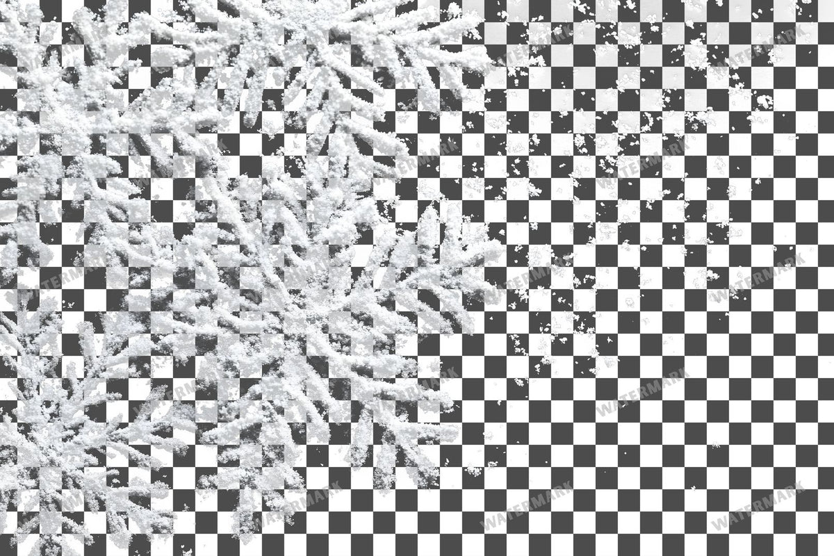 Snow Overlay