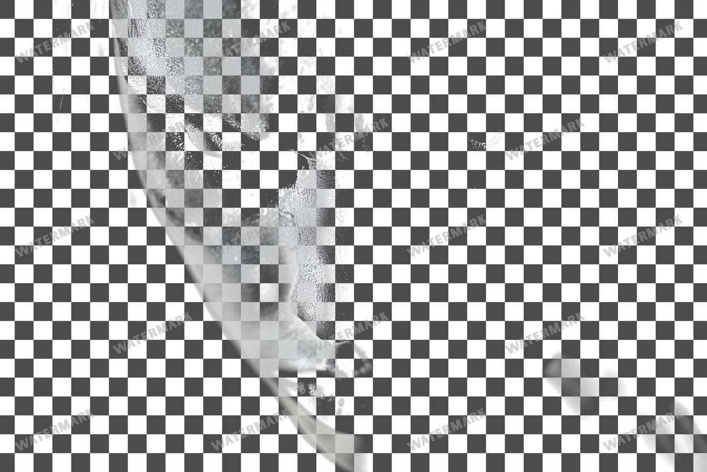 Vampire Transparent Overlay Pngs