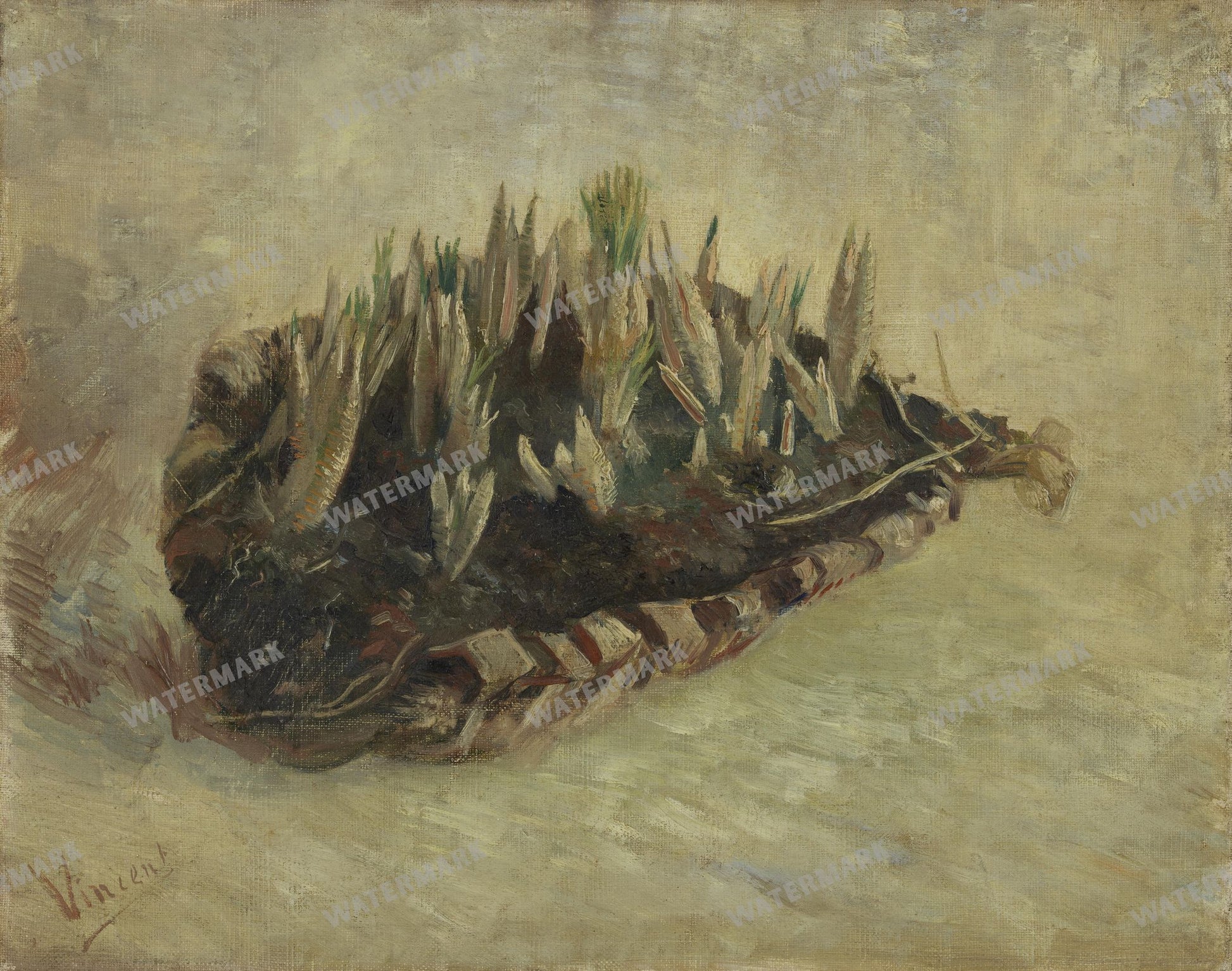 Vincent Willem Van Gogh Vintage Paintings