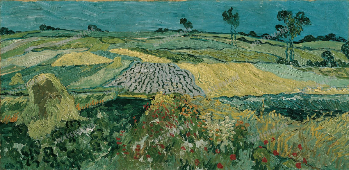 Vincent Willem Van Gogh Vintage Paintings