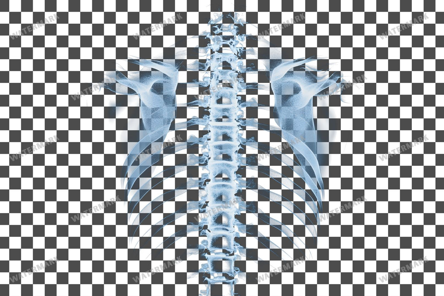 X-Ray Transparent Overlay Pngs