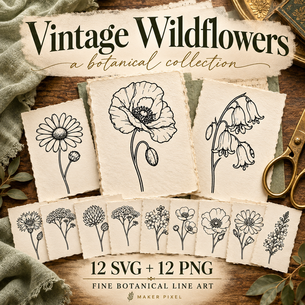 Vintage Wildflower SVG Set - 12 Fine Line Botanical Illustrations