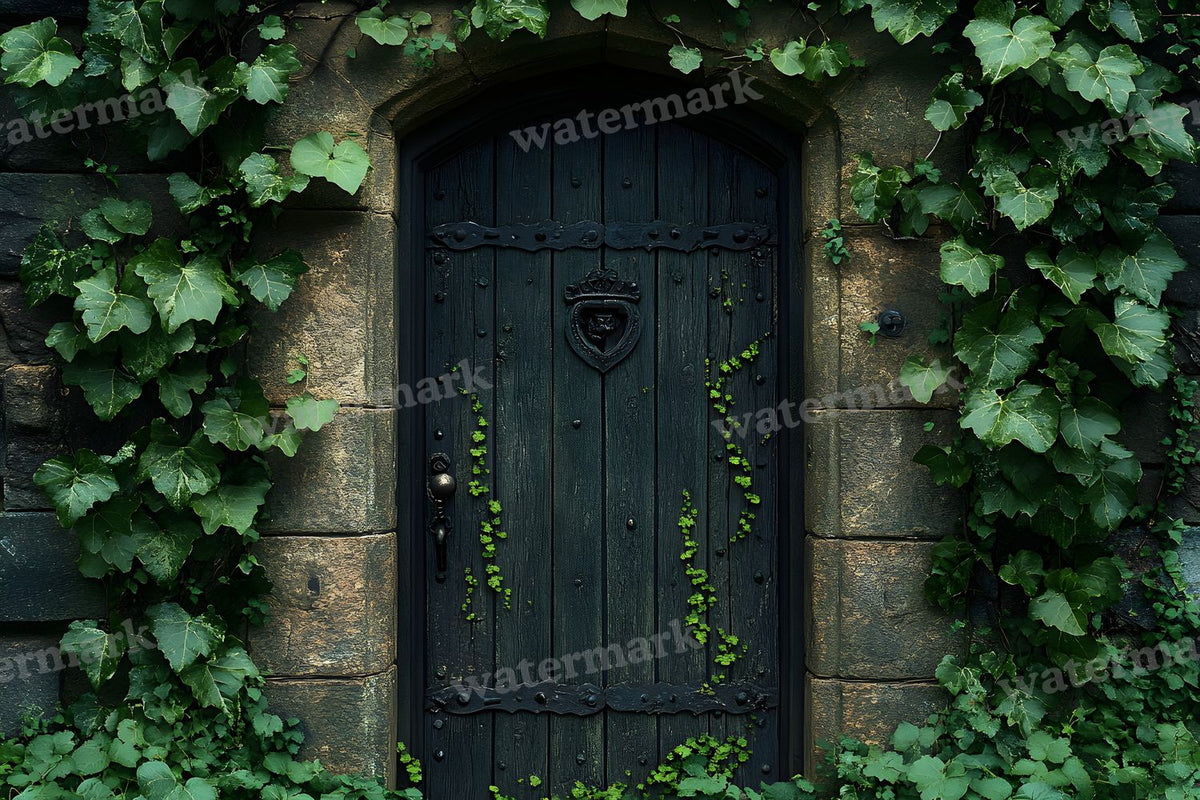 Aged Rustic Wood Door Backdrop Images