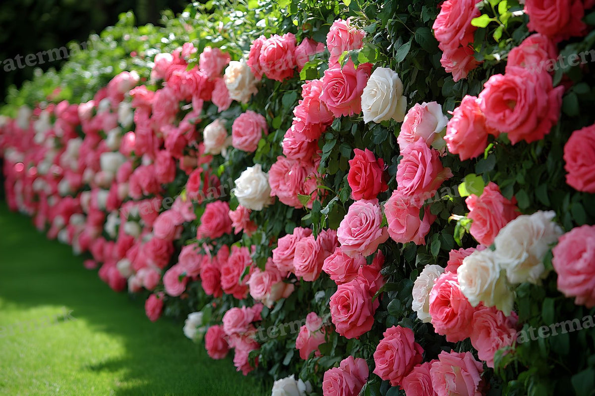 Romantic Rose Garden digital photo backdrop for photo editing, preview 9