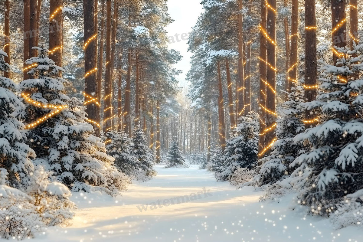 Snowy Forest Backdrop Images
