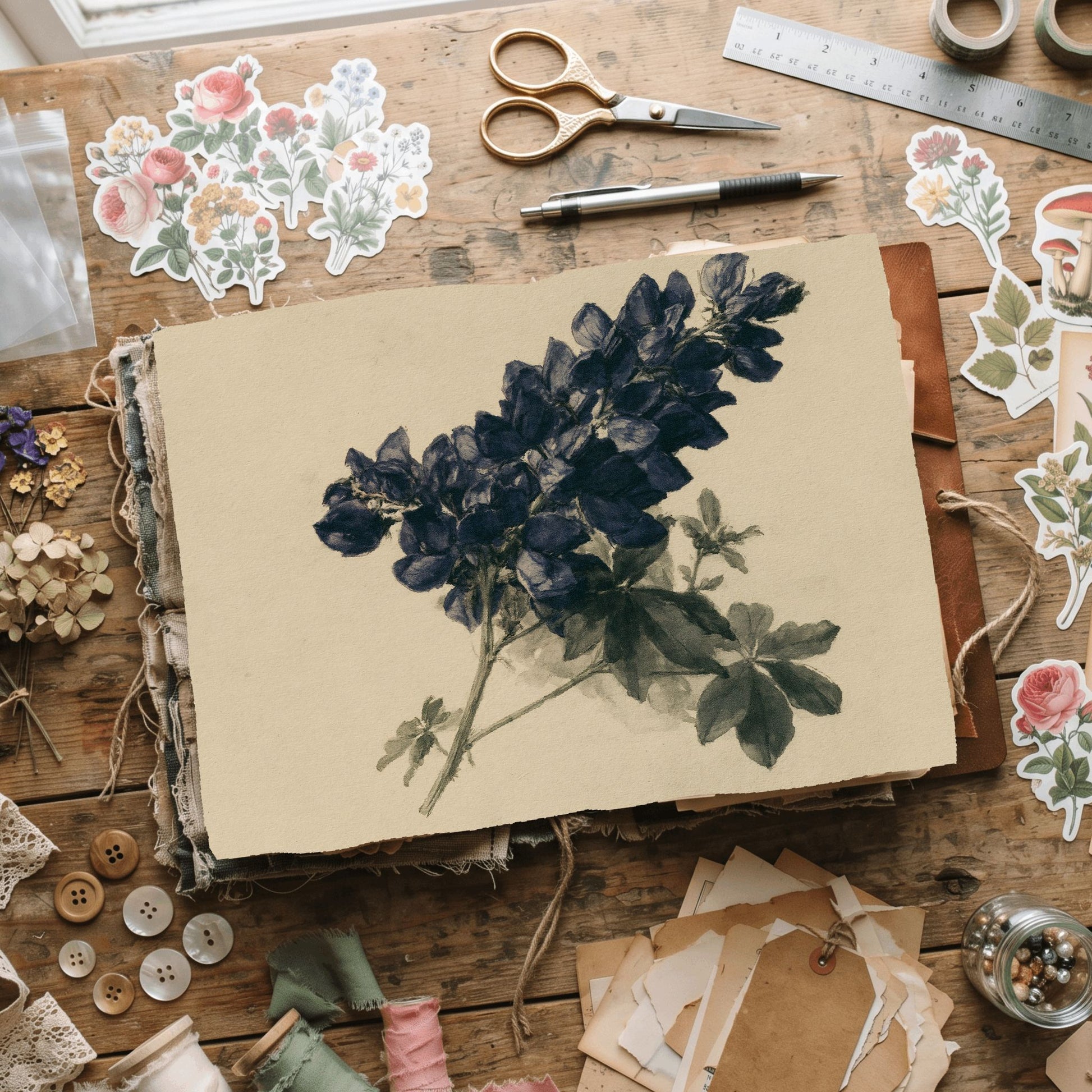 Vintage Arroyo Lupine Botanical Illustration
