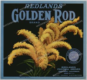 Ads Vintage Prints