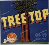 Ads Vintage Prints