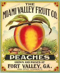 Ads Vintage Prints