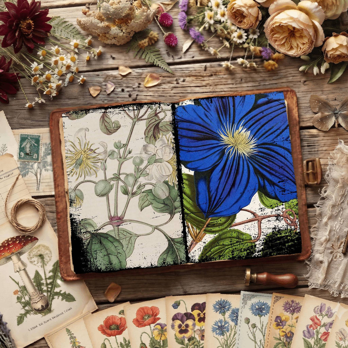 Botanical Illustrations Digital Papers