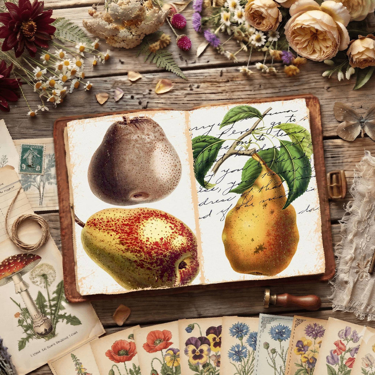 Botanical Illustrations Digital Papers