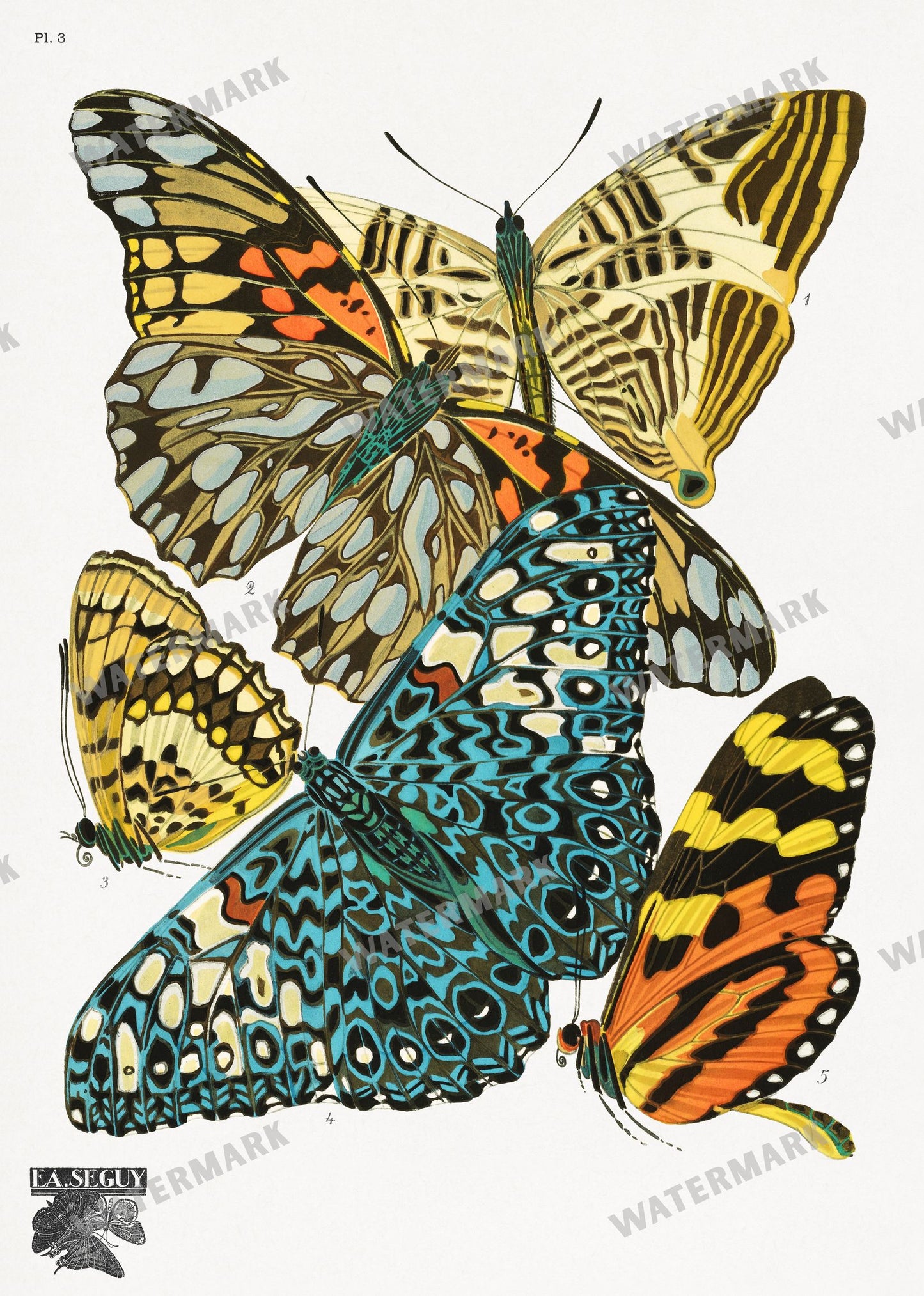 E A Seguy Vintage Prints