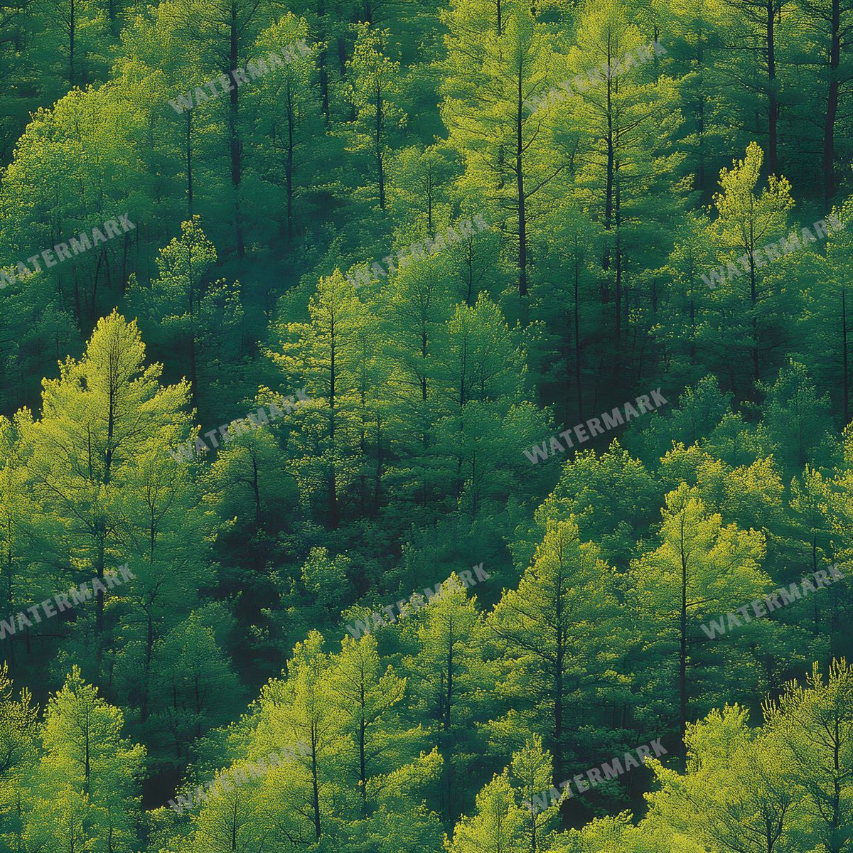 Forest Seamless Pattern