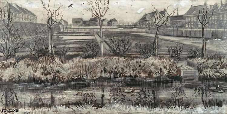 Vincent Willem Van Gogh Vintage Paintings
