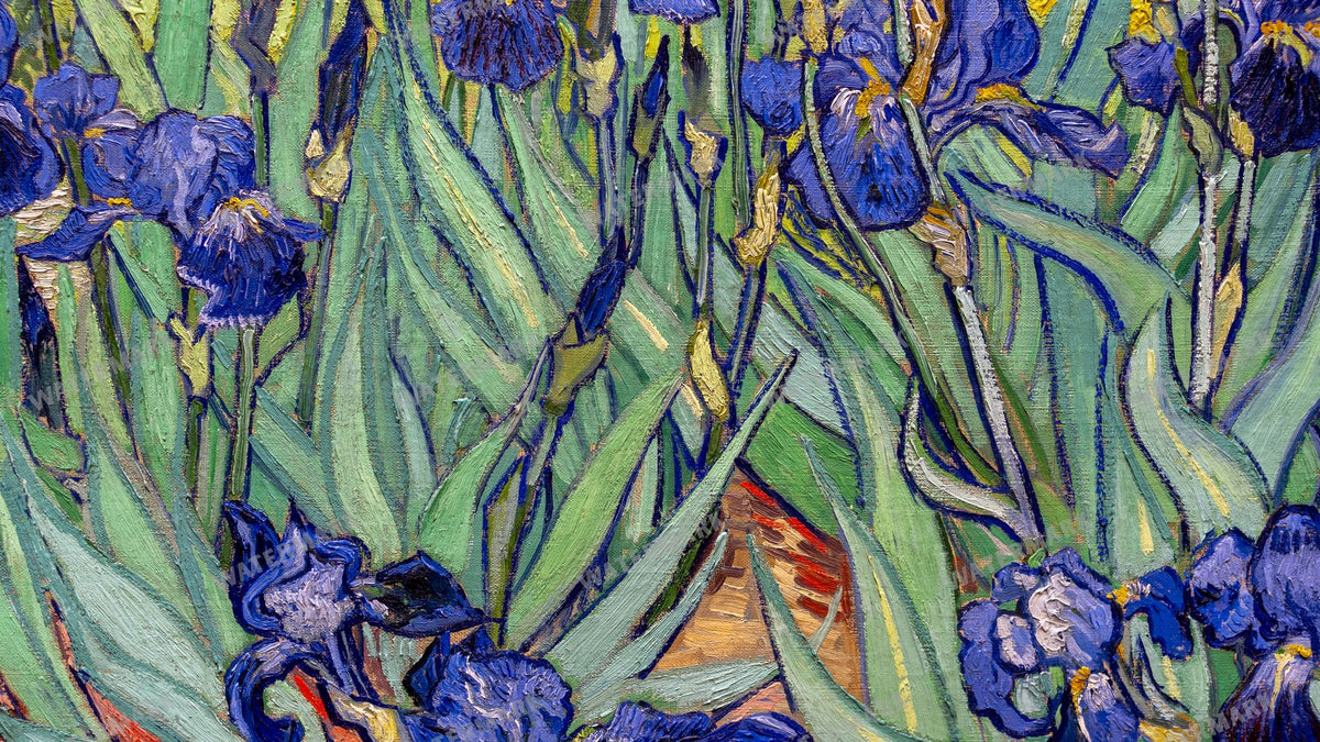Vincent Willem Van Gogh Vintage Paintings