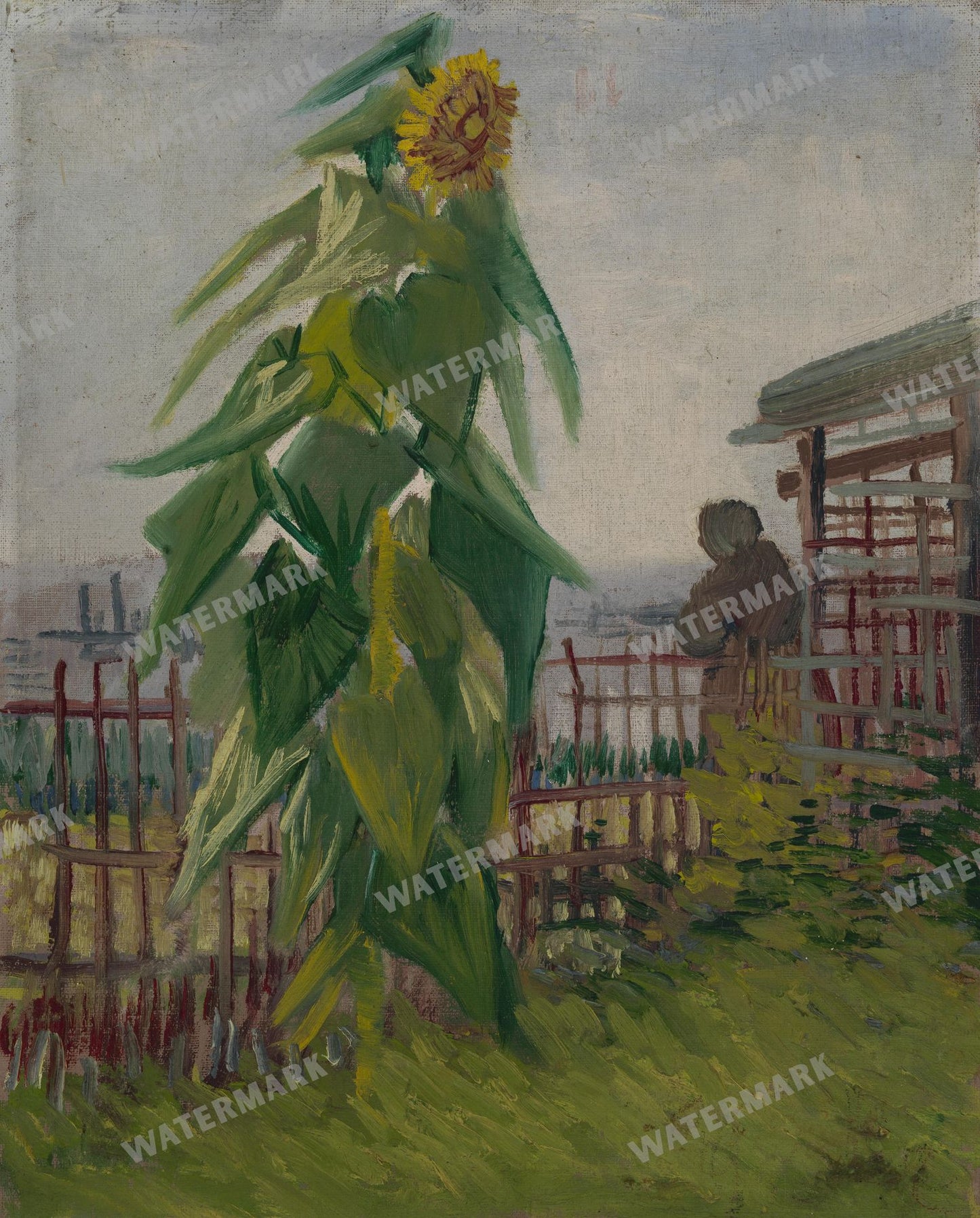 Vincent Willem Van Gogh Vintage Paintings