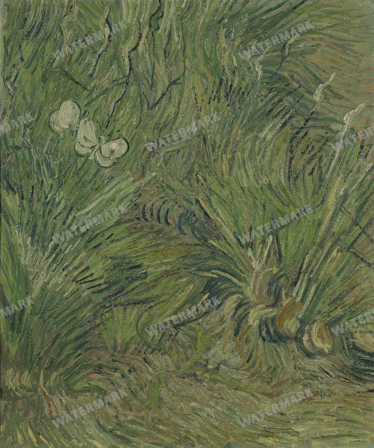 Vincent Willem Van Gogh Vintage Paintings