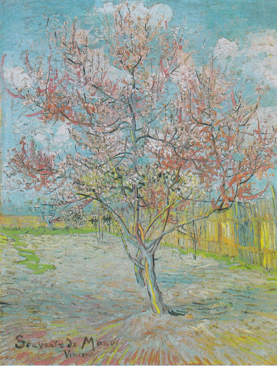 Vincent Willem Van Gogh Vintage Paintings